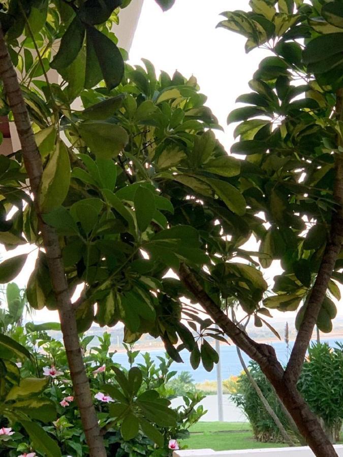 Wow Relax+Terrace+3 Minutes To Beach+10 Min City ลากอส ภายนอก รูปภาพ